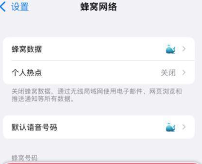 如何在iPhone上设置双卡功能？遇到问题怎么办？
