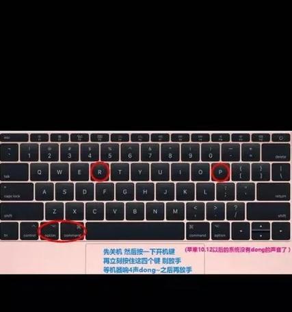 苹果笔记本垃圾站还原步骤？数据恢复怎么做？