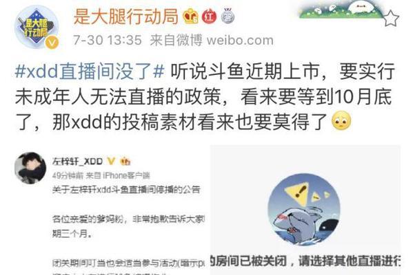 电脑关闭斗鱼后还有声音是怎么回事？如何解决？