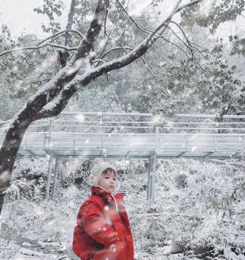 手机拍照出现断续如何处理？处理后拍照效果好吗？