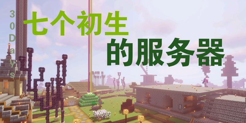 前期生存服务器的功能特点有哪些？
