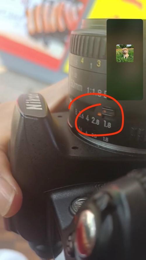 相机镜头保护盖如何正确盖住？操作步骤是什么？