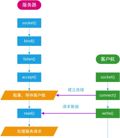 服务器函数具体指的是什么？它在编程中扮演什么角色？