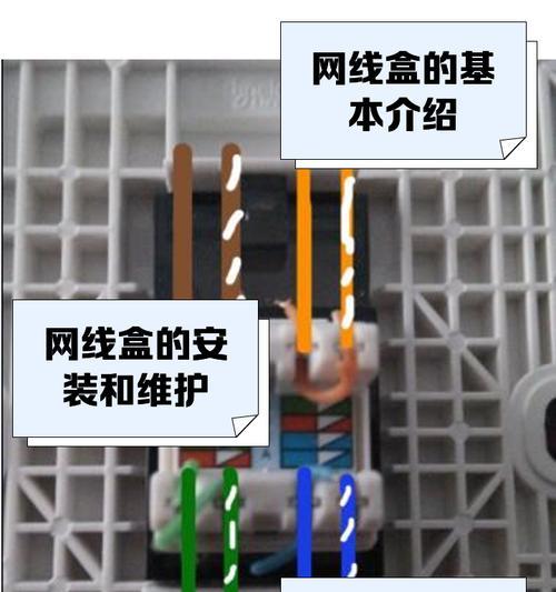 移动电视盒子如何连接网线？