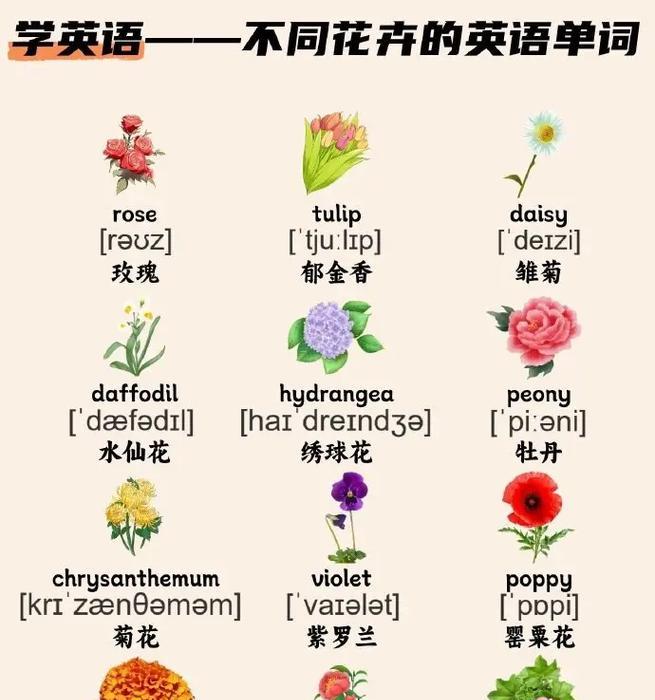 为何选择苹果手机用英语如何表达？选择苹果手机的理由有哪些？