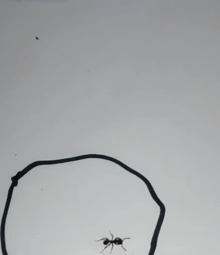 手机镶钻摄像头的圈圈如何制作？需要哪些材料和工具？