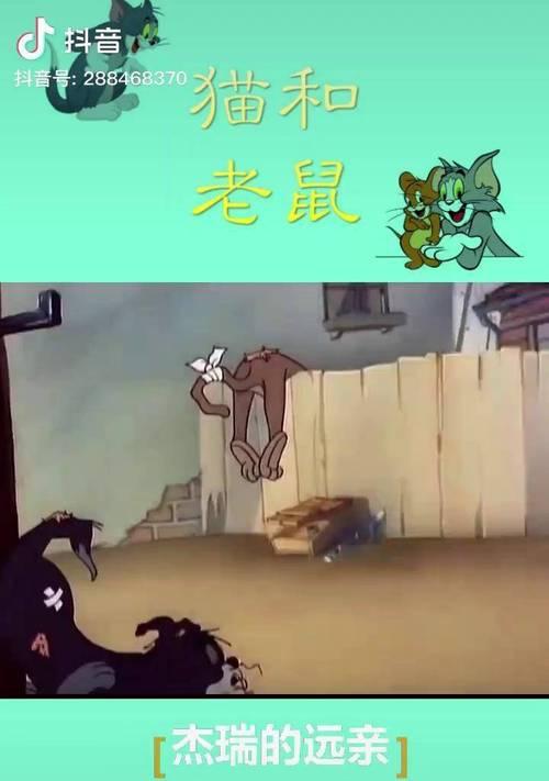 杰瑞高清摄像头如何与手机连接？连接过程中可能遇到哪些问题？