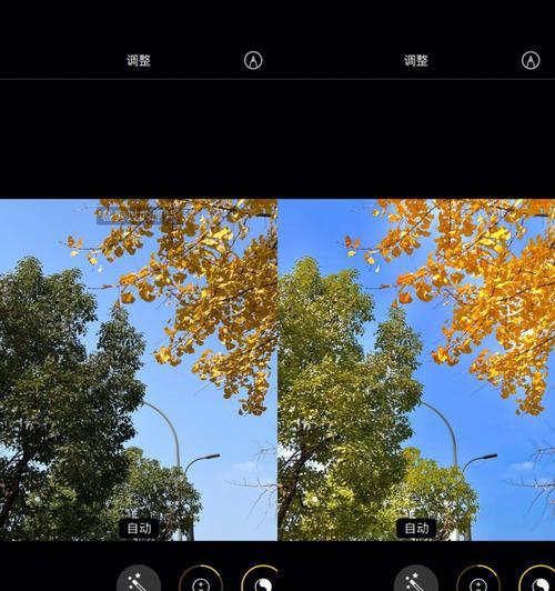 树调色苹果手机软件叫什么？软件功能有哪些？