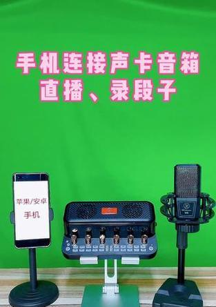 金运音响怎么连接笔记本电脑？连接步骤和技巧是什么？