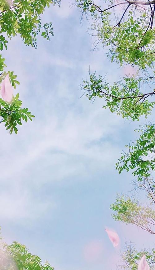 手机壳上的胶软如何清洗？有视频教程吗？