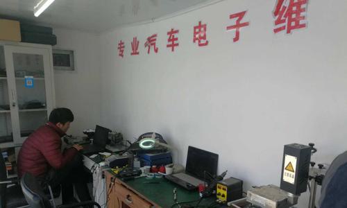 汽车电子主要经营哪些产品和服务？