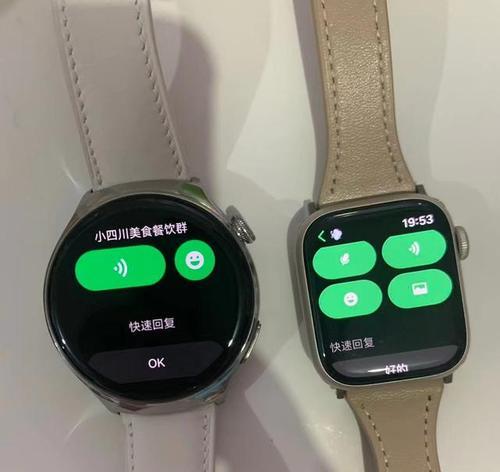 苹果手表u支持视频播放吗？