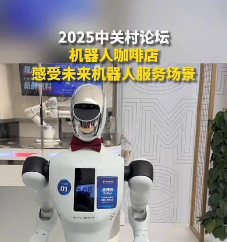 机器人服务包括哪些内容？