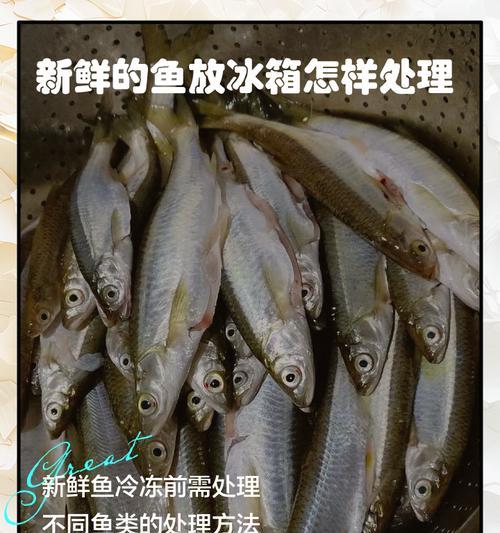 冰箱咸鱼味的处理方法（告别冰箱异味）